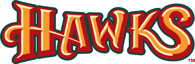 Boise Hawks 2007-Pres Wordmark Logo iron on transfers for clothing